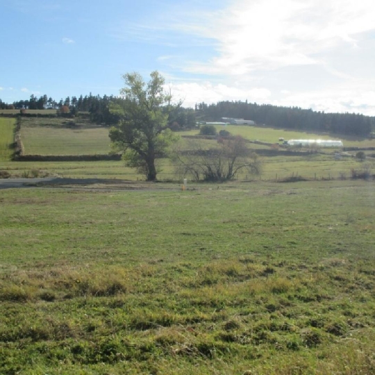 Terrain GRANDRIEU (48600) 1500.00m2 39 300 € 