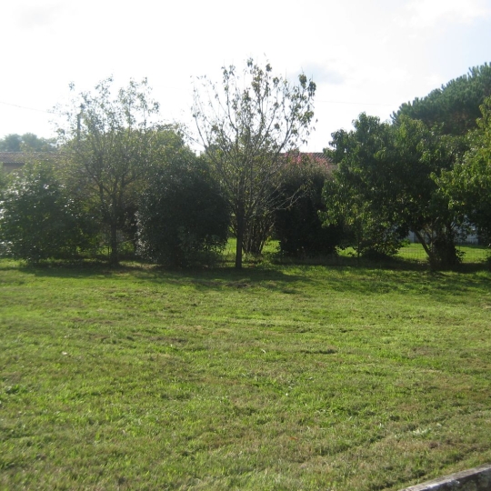 Terrain BALIZAC (33730) 331.00m2 39 000 € 