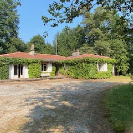 Maison / Villa CHATEAUNEUF-LA-FORET (87130) 143.00m2 250 000 € 