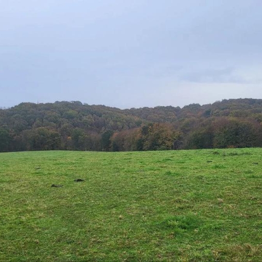 Terrain BOULOGNE-SUR-GESSE (31350) 136700.00m2  - 77 400 € 