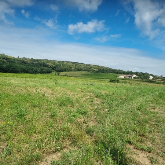 Terrain CHASSELAS (71570) m2 158 000 € 