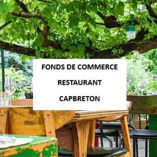 Activité commerciale CAPBRETON (40130) 50.00m2  - 205 200 € 