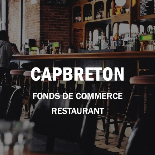 Activité commerciale CAPBRETON (40130) 52.00m2  - 73 000 € 