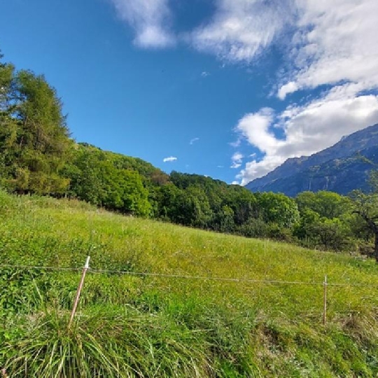 Terrain VAUJANY (38114) 2800.00m2 395 000 € 