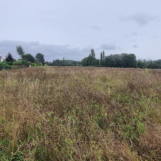 Terrain COURLON-SUR-YONNE (89140) 1250.00m2 37 500 € 