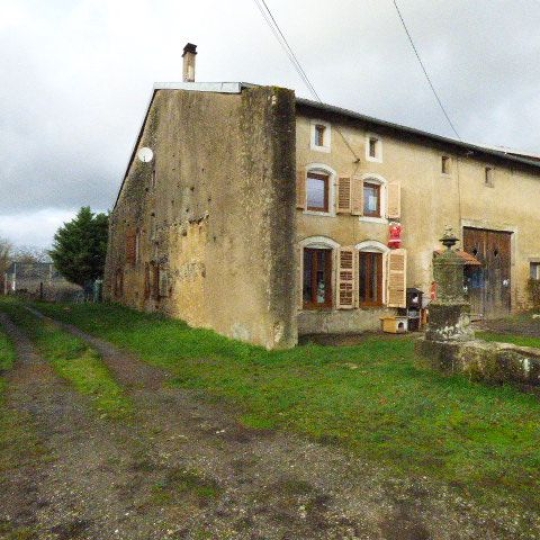 Maison BLAMONT (54450) 150.00m2  - 76 000 € 