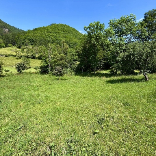 Terrain LANUEJOLS (48000) m2 33 000 € 