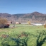 Terrain BAREMBACH (67130)  885 m2 124 000 € 