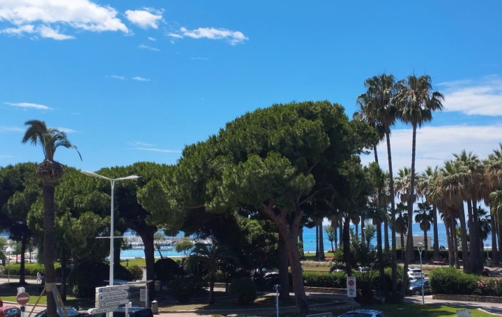 Appartement CANNES (06400) 73 m<sup>2</sup> 2 120 000 € 