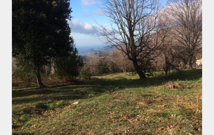 Réseau Immo-diffusion : Terrain  RUTALI   130 000 € 