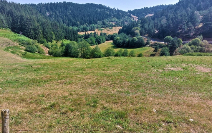 Réseau Immo-diffusion : Terrain  MAZAN-L'ABBAYE  1 685 m2 32 000 € 