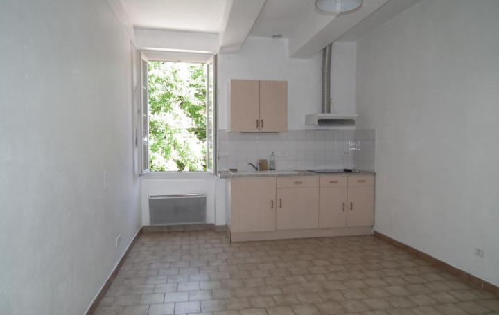 Réseau Immo-diffusion : Appartement P3  SAINT-ETIENNE-DES-SORTS  61 m2 430 € 