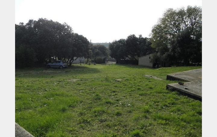 Réseau Immo-diffusion : Terrain  LA CAPELLE-ET-MASMOLENE   195 000 € 