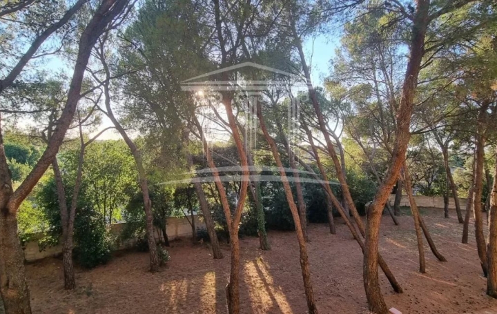 3 Pièces SORGUES (84700)  58 m2 72 000 € 