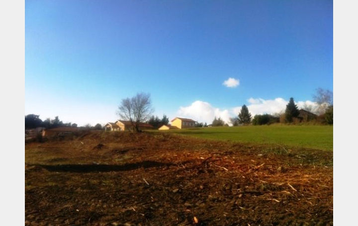 Réseau Immo-diffusion : Terrain  SAINT-MAURICE-SUR-DARGOIRE   175 000 € 