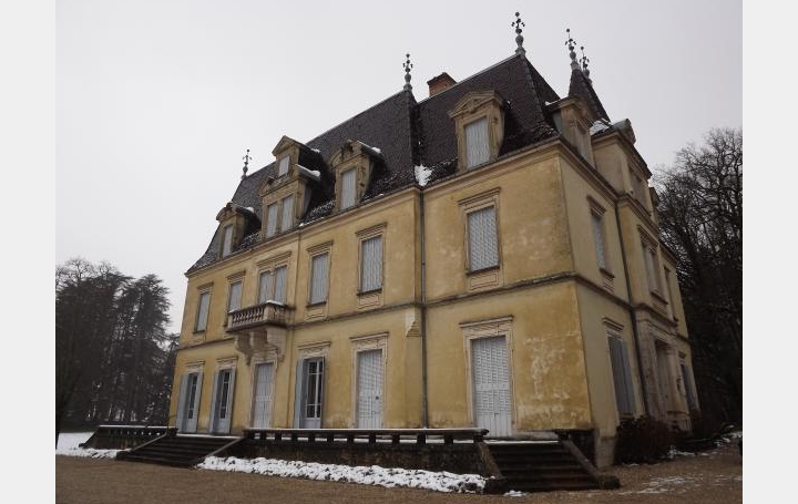 Réseau Immo-diffusion : Domaine  SAINT-JEAN-LE-VIEUX  700 m2 1 680 000 € 