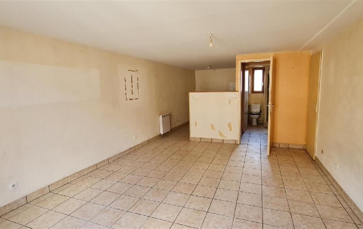 Réseau Immo-diffusion : Appartement P1  LA TOUR-DU-PIN  34 m2 56 000 € 