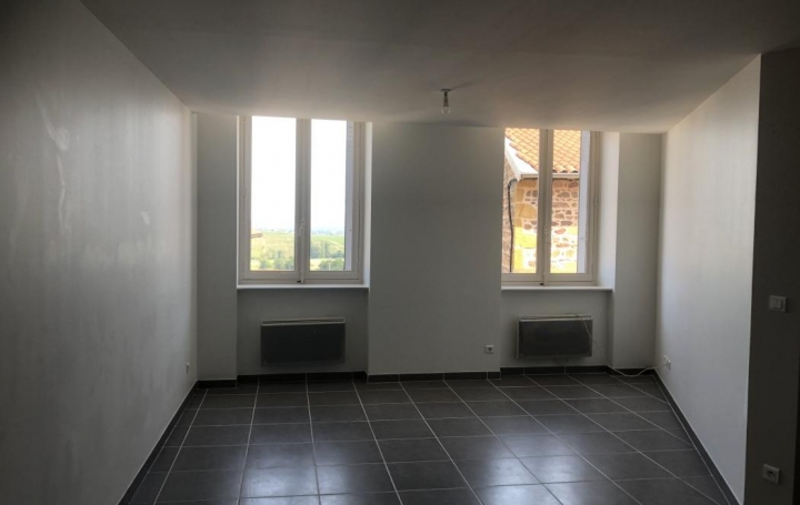 Réseau Immo-diffusion : Appartement P2  SAINT-ROMAIN-DE-POPEY  44 m2 450 € 