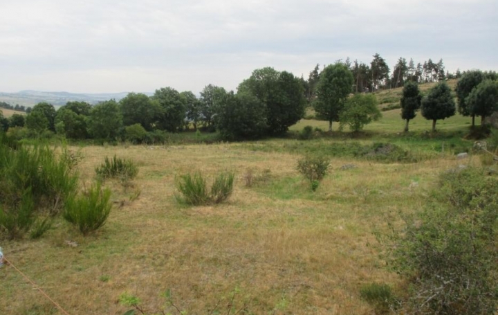 Réseau Immo-diffusion : Terrain  SAINT-BONNET-DE-MONTAUROUX   14 700 € 