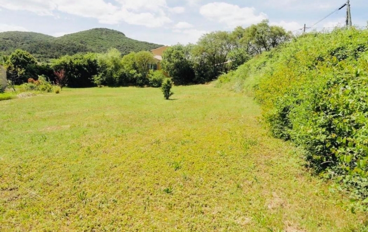 Réseau Immo-diffusion : Terrain  SAINT-SAUVEUR-DE-CRUZIERES   67 000 € 