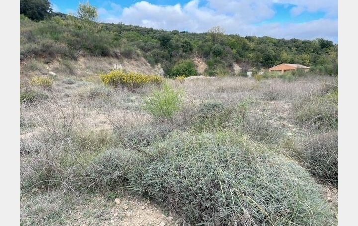 Réseau Immo-diffusion : Terrain  TAUSSAC-LA-BILLIERE   263 000 € 