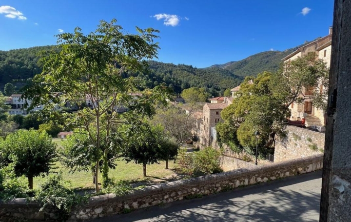 Maison de village OLARGUES (34390)  78 m2 149 000 € 