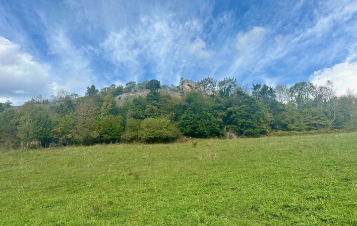 Terrain TARASCON-SUR-ARIEGE (09400) 0 m<sup>2</sup> 88 000 € 