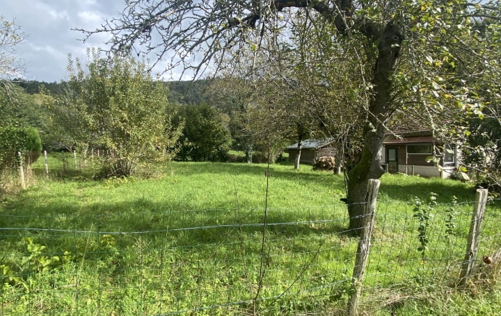 Terrain ARGENTAT-SUR-DORDOGNE (19400)   17 000 € 