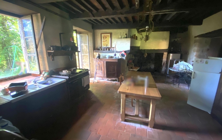 Maison ARGENTAT-SUR-DORDOGNE (19400)  330 m2 159 000 € 