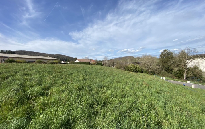 Terrain SAINT-GEOIRE-EN-VALDAINE (38620)   80 000 € 