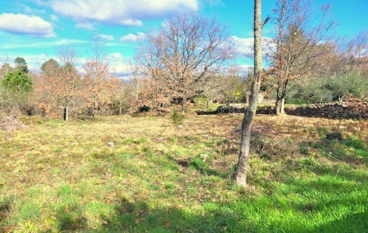 Terrain SAINT-PAUL-LE-JEUNE (07460)   80 000 € 