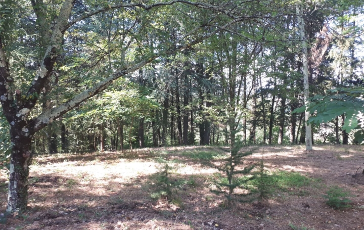 Réseau Immo-diffusion : Terrain  SAINT-AMBROIX   66 000 € 