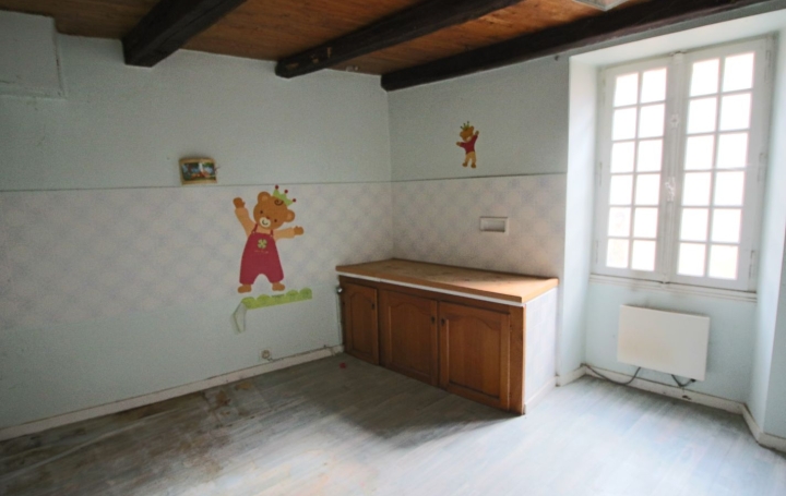 Maison PUY-L'EVEQUE (46700)  260 m2 116 600 € 