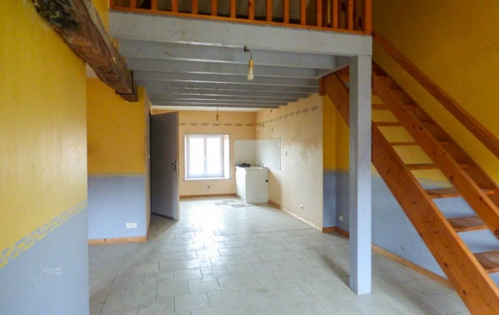 Local commercial SAUZE-VAUSSAIS (79190)  274 m2 66 480 € 