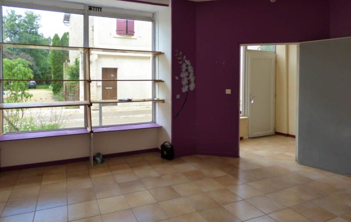 Local commercial SAUZE-VAUSSAIS (79190)  274 m2 66 480 € 