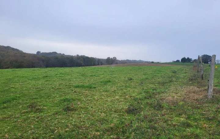 Terrain BOULOGNE-SUR-GESSE (31350)  136 700 m2 77 400 € 