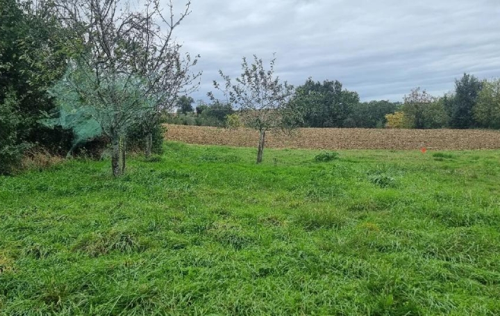 Réseau Immo-diffusion : Terrain  NOUGAROULET  700 m2 39 500 € 