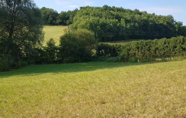 Réseau Immo-diffusion : Terrain  PESSAN  2 393 m2 43 000 € 