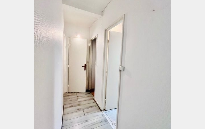 3 Pièces TROYES (10000)  74 m2 690 € 