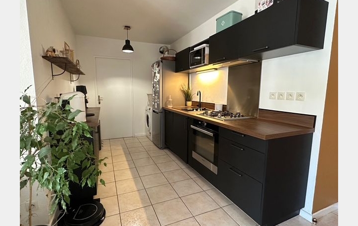 2 Pièces MARSEILLE (13010)  45 m2 850 € 