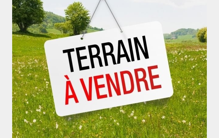 Terrain TREMBLAY-EN-FRANCE (93290) 0 m<sup>2</sup> 159 000 € 