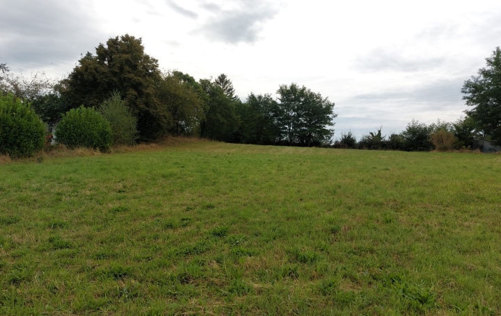 Terrain BOUSSAC (23600)   29 000 € 