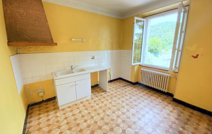 Maison LALEVADE-D'ARDECHE (07380)  181 m2 252 000 € 