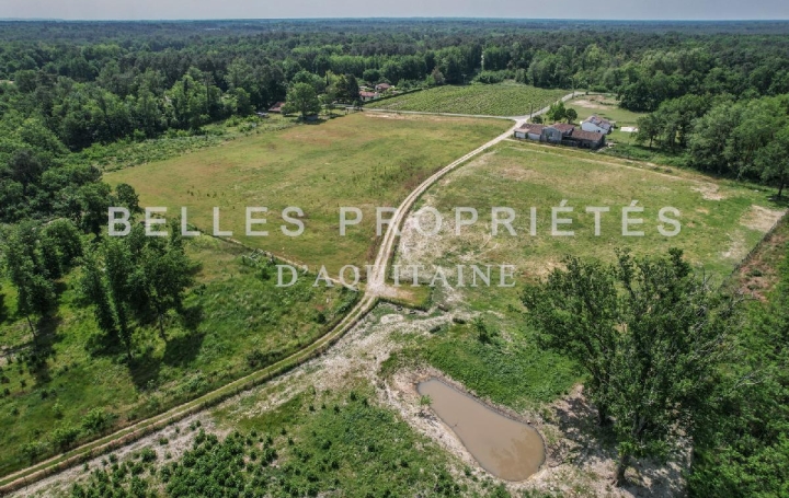 Réseau Immo-diffusion : Propriété  SAINT-SAUVEUR  600 m2 450 000 € 