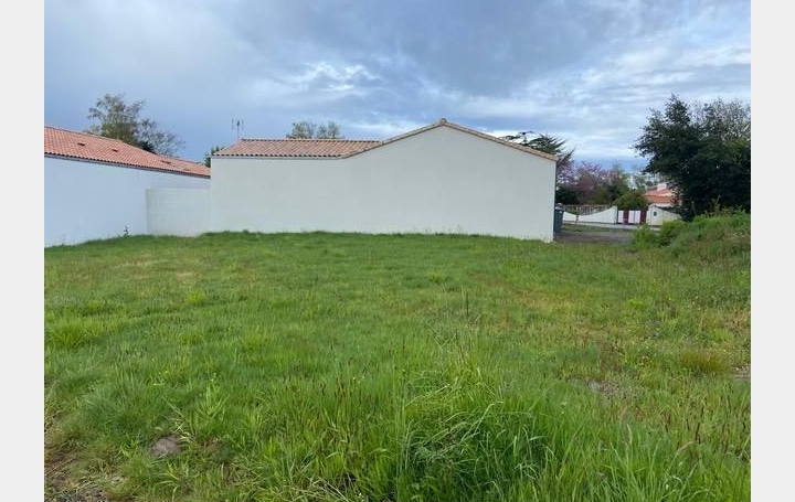 Terrain SAINTE-FOY (85150)   104 900 € 