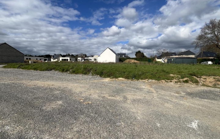 Réseau Immo-diffusion : Terrain  NIVILLAC  398 m2 65 000 € 