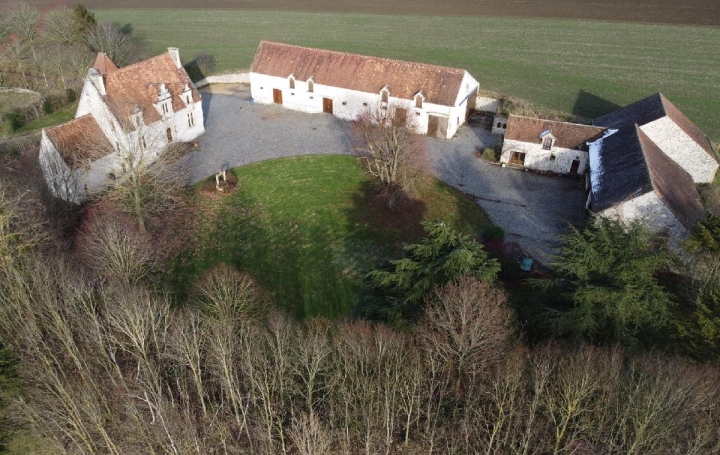 Maison TRIZAY-COUTRETOT-SAINT-SERGE (28400)  343 m2 999 000 € 