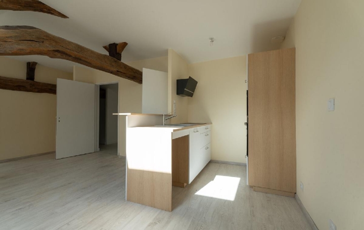 Réseau Immo-diffusion : Appartement P2  LA ROCHE-VINEUSE  44 m2 490 € 