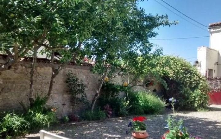 Maison CIVRAY (86400)  227 m2 178 500 € 