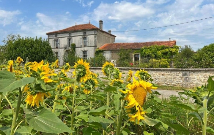 Maison VILLEFAGNAN (16240)  316 m2 444 950 € 